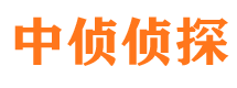 江南市调查公司